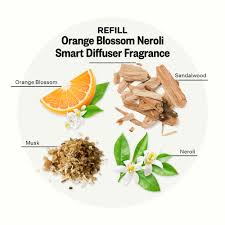 Orange Blossom Neroli Pura Refill