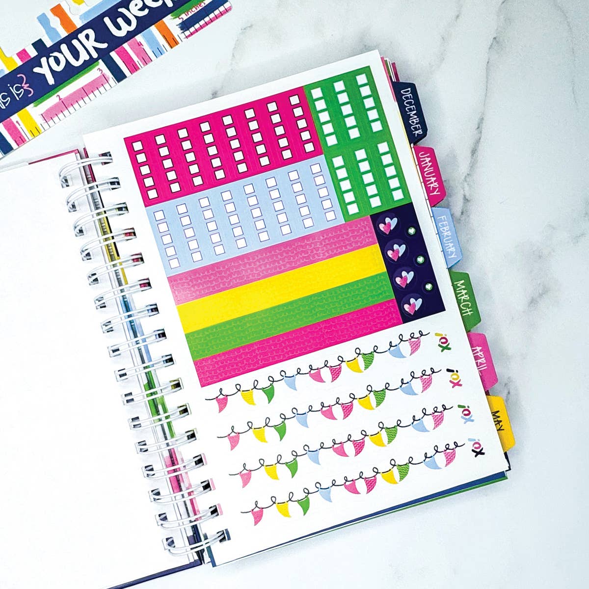 NEW! Reminder Binder® Planner [Jan 26-June 27] | Open Stock