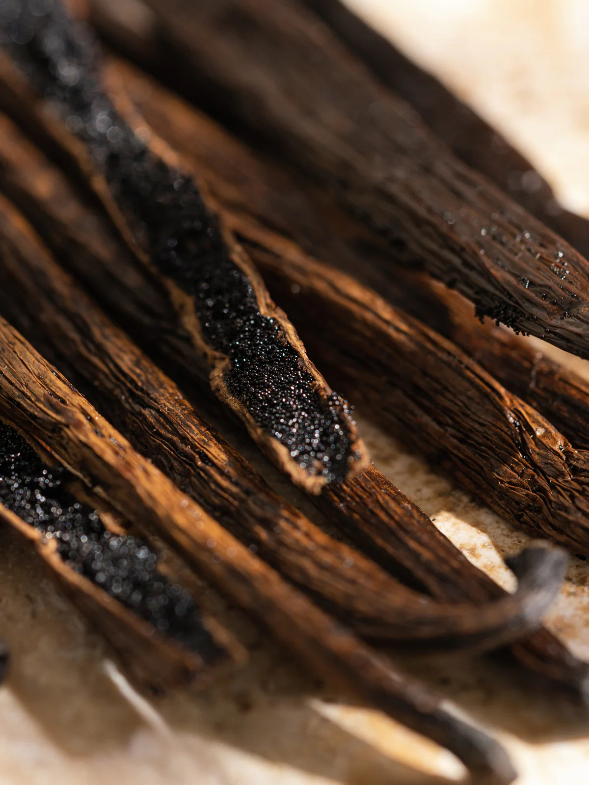 Havana Vanilla - Capri Blue Pura Refill