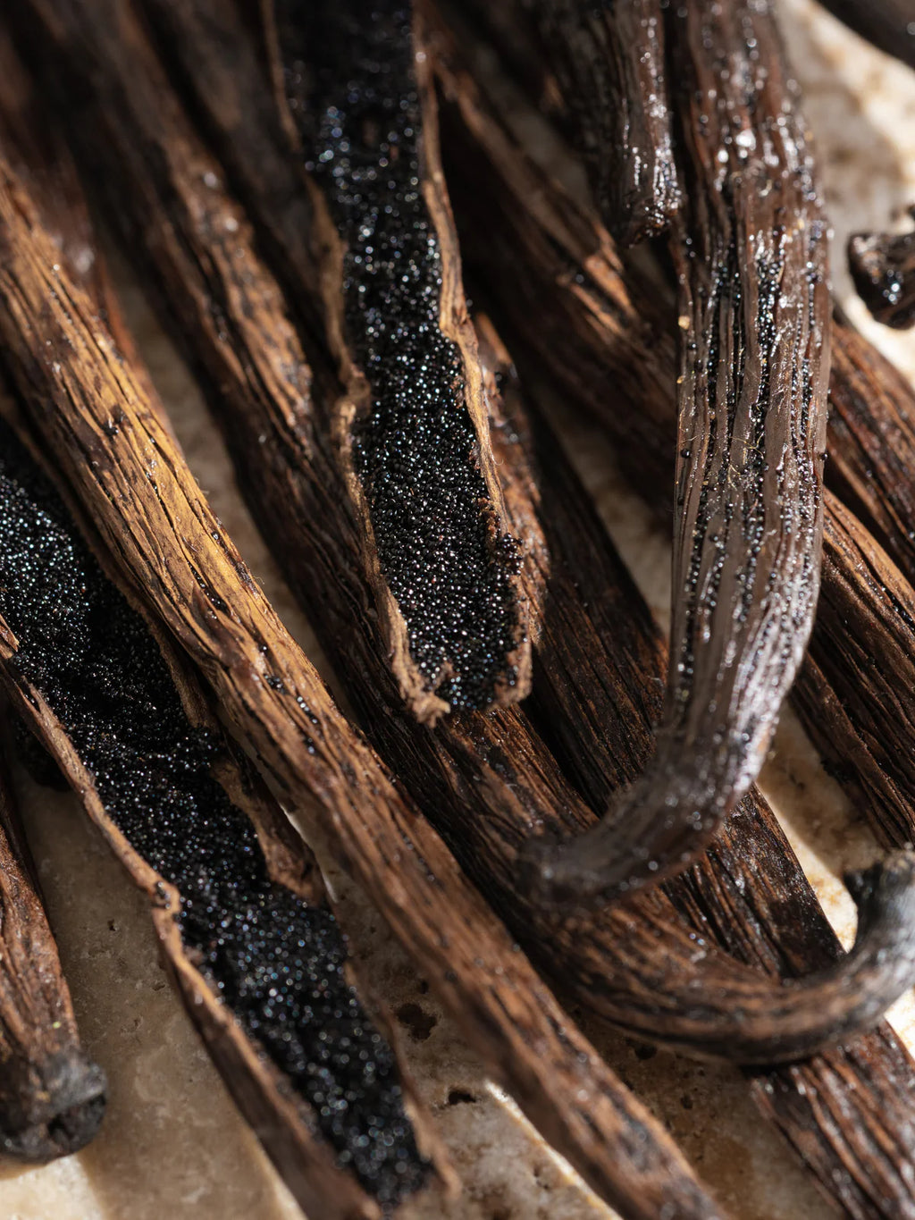 Homebody - Moodcast Pura Refill