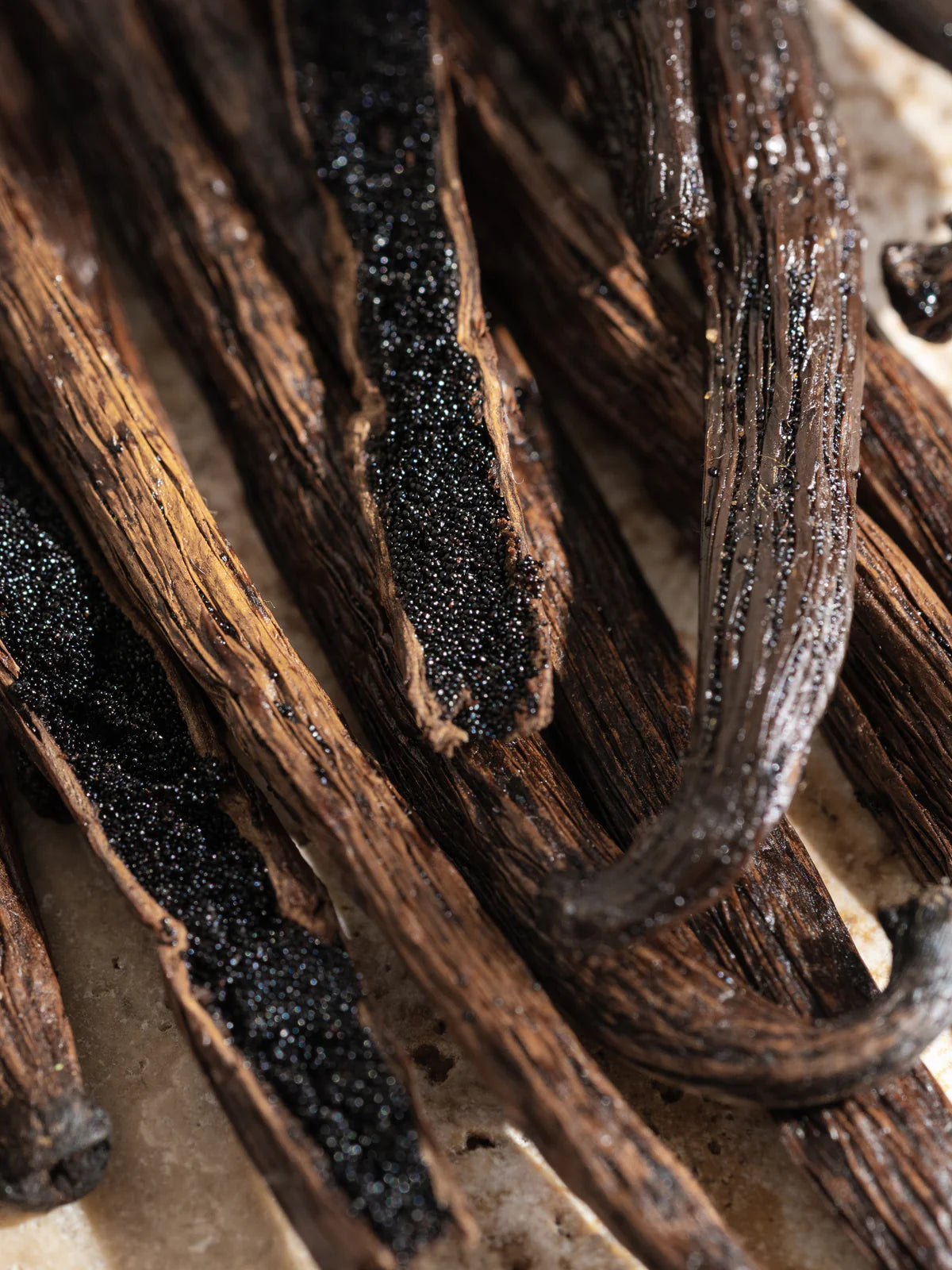 Homebody - Moodcast Pura Refill