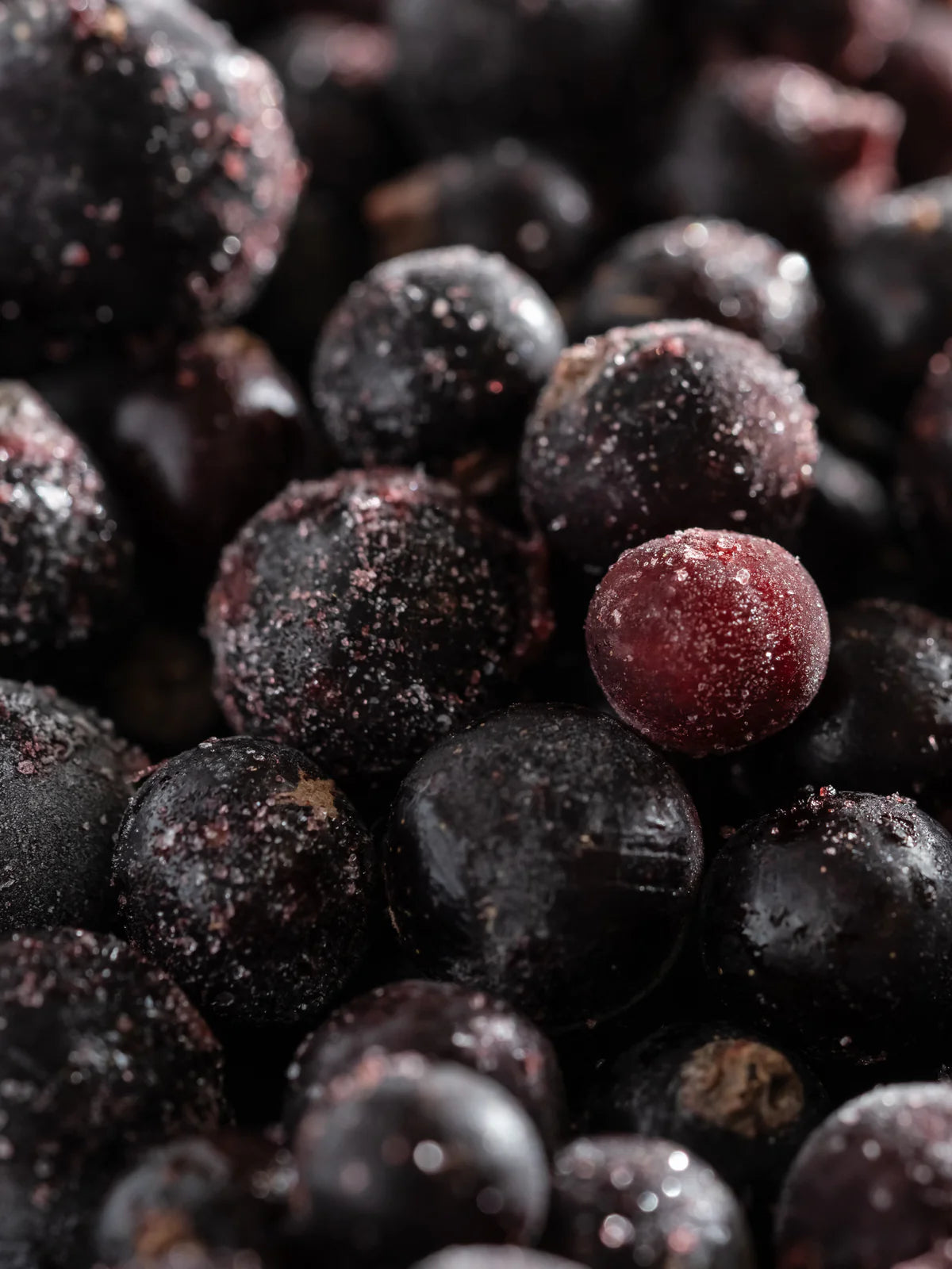 Juicy Acai Pura Refill